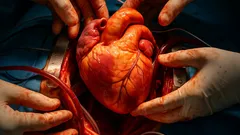 The $200 Million Artificial Heart Bet: Can This Tiny IPO Change Transplants Forever?